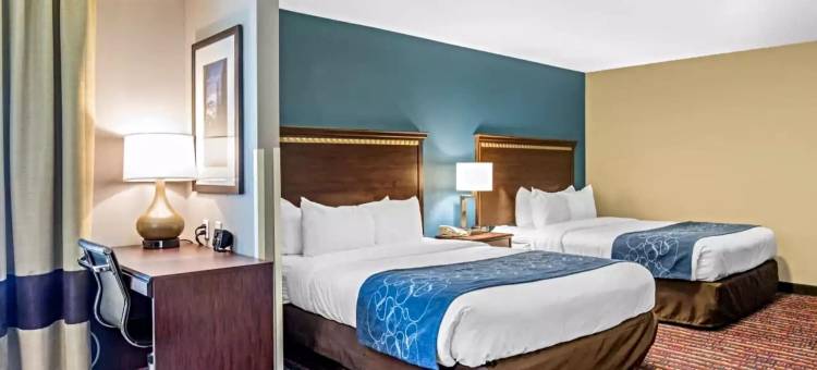 费尔维尤高地舒适套房酒店(Comfort Suites)图片