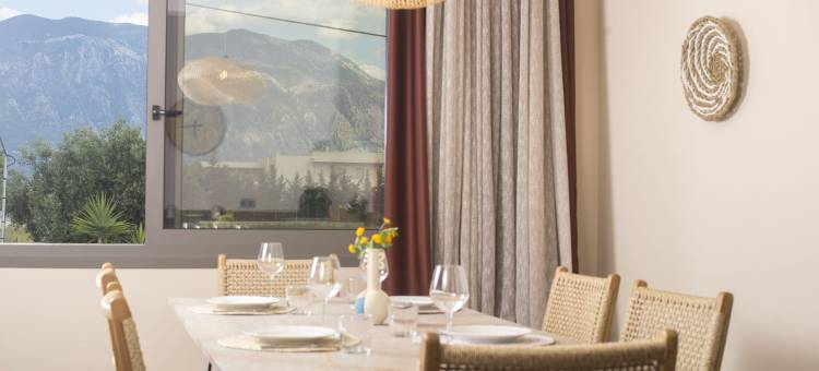 埃拉亚橄榄树丛(Elaia Grove)图片