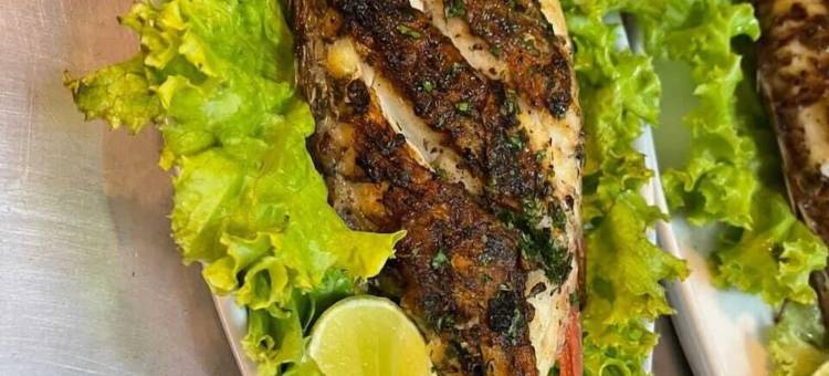 我的家酒店-蓬塔卡纳(My Home Hotel Punta Cana)图片