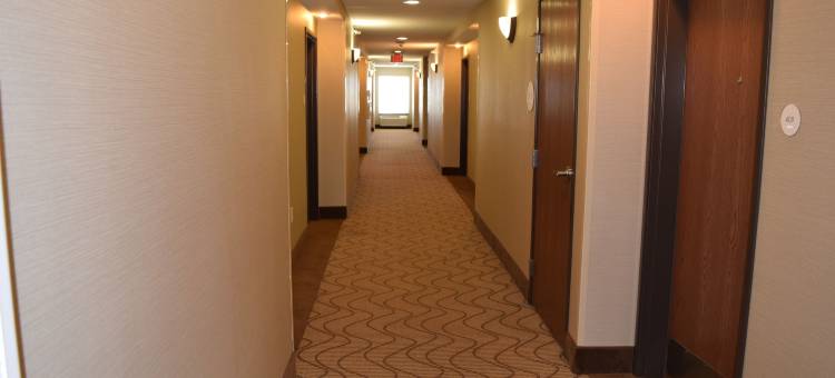 马里恩I-57号舒适套房酒店(Comfort Inn & Suites Marion I-57)图片