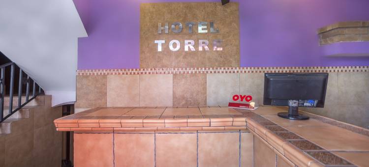 托雷酒店(Hotel Torre)图片