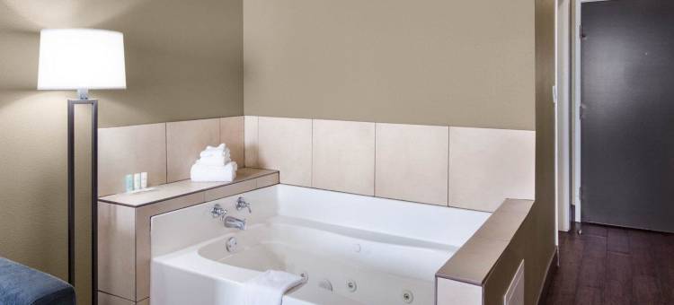 舒适套房酒店(Comfort Suites)图片