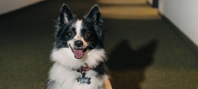 菲尔特纽伦堡弗斯特豪斯酒店(Hotel Forsthaus Nürnberg Fürth)图片