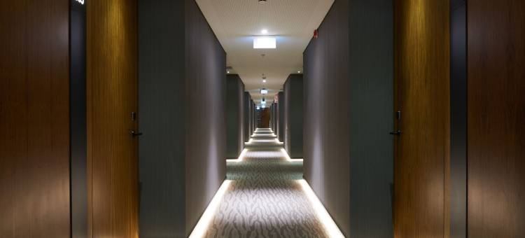 廷布雷英雄主义(Timbre Heroismo)图片