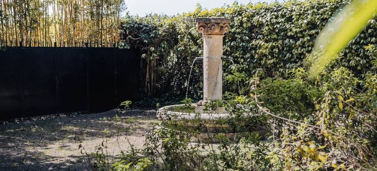 杜柯德奥利瓦德酒店(Du Côté des Olivades)图片