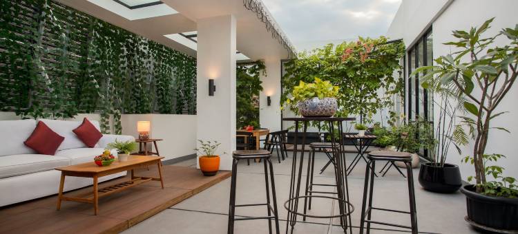 白树公寓(White Tree Residence)图片