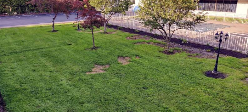 云杉木旅馆(Sprucewood Inn)图片