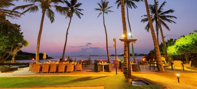可可湾酒店(Cocobay Unawatuna)图片