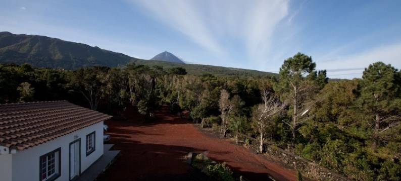 皮库梦想斯波特费许酒店(Pico Dreams)图片