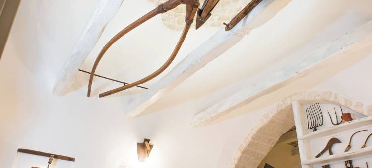 特鲁利假日阿尔贝格迪福所酒店(Trulli Holiday Albergo Diffuso)图片