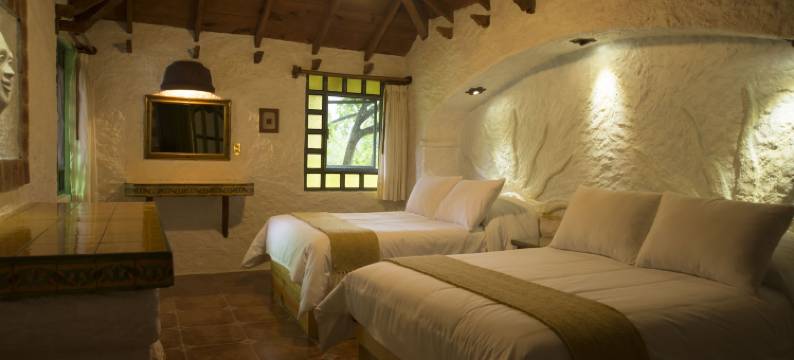 森林太阳套房酒店(Hotel Bosques del Sol Suites)图片