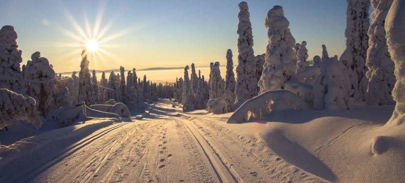 约莫帝国(Yomo Imperial)图片