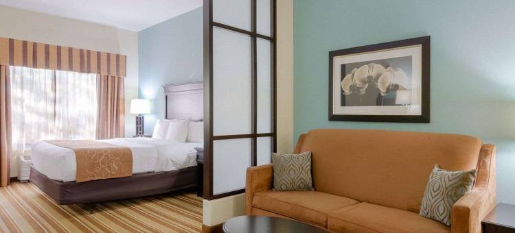 托皮卡西北舒适套房酒店(Comfort Suites Topeka Northwest)图片