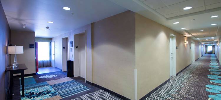 萨斯卡通南希尔顿欢朋酒店(Hampton Inn by Hilton Saskatoon South)图片