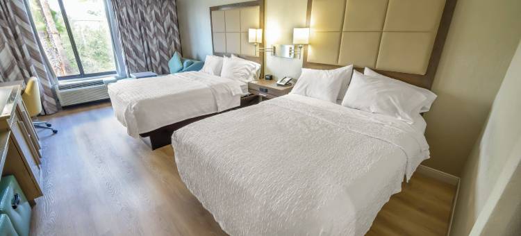 杰克逊维尔南部JTB95号公路欢朋酒店(Hampton Inn Jacksonville South/I-95 at JTB)图片