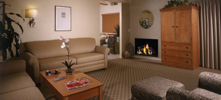 棕榈泉沙漠岛(Desert Isle of Palm Springs)图片