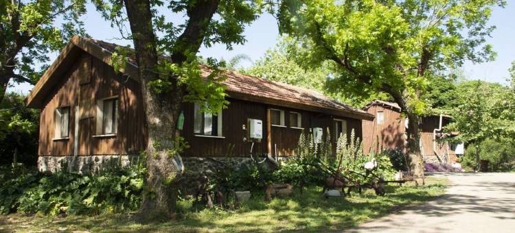 贝特诺费许怀思酒店(Beit Nofesh Waiss)图片