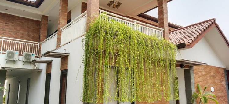 德贾提之家(DeJati House)图片