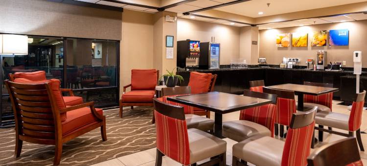 欧佩莱卡-奥本舒适酒店(Comfort Inn Opelika - Auburn)图片