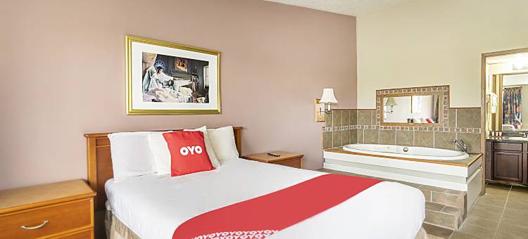 OYO戴尔维尔84号高速公路酒店(OYO Hotel Daleville Al Hwy 84)图片