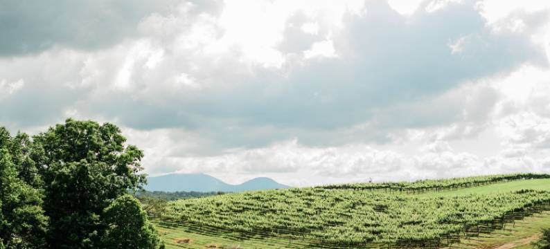 心态(A Frame of Mind)图片