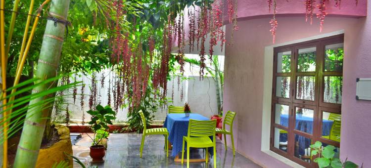 海豚度假村(Dolphin Resort)图片