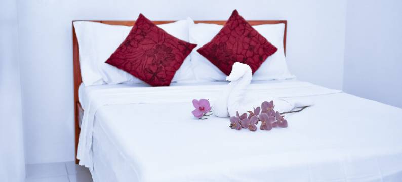 唐劳尔酒店(Hotel Don Raul)图片