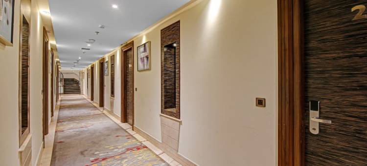 Treebo 高级阿里斯塔(Treebo Premium Arista)图片