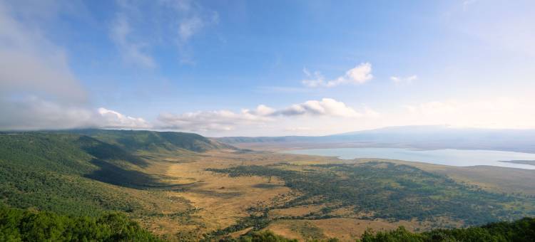 Meliá系列会员恩戈罗恩戈罗旅馆(Ngorongoro Lodge Member of Meliá Collection - the Leading Hotels of the World)图片