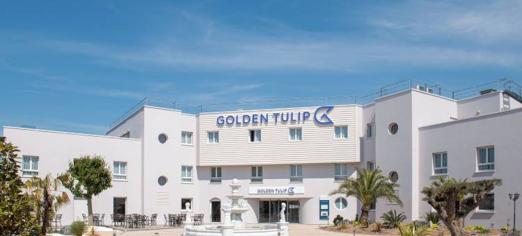 黄金色郁金香酒店迪耶普(Golden Tulip Dieppe)图片