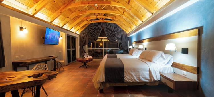 巴尔孔德尔帕尔克酒店(Hotel Balcón del Parque)图片