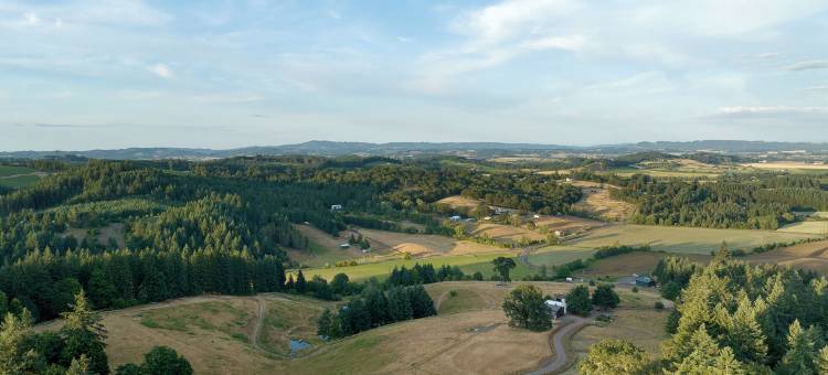 酒店地面(Inn the Ground)图片