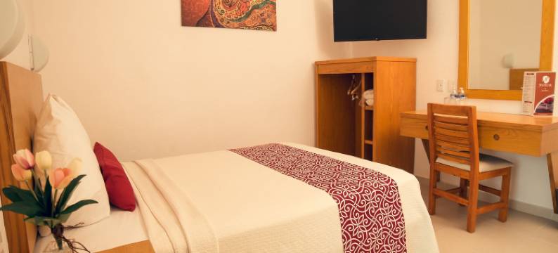 克里米特酒店(Hotel Klimt)图片