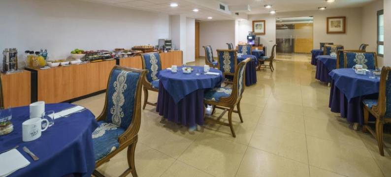 托利鲁斯高级酒店(Crisol Almería)图片