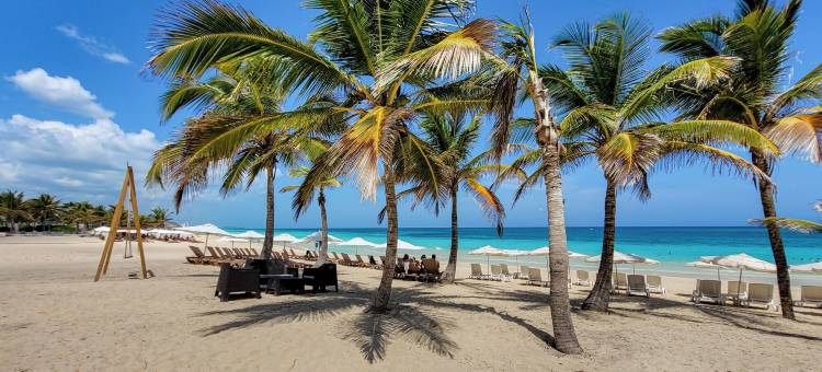 Cana Rock Star公寓酒店(Cana Rock Star)图片