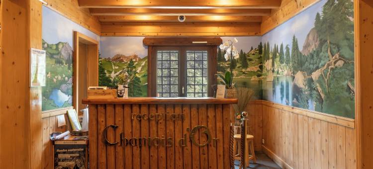 卡莫斯多尔酒店(Hotel Chamois d'Or)图片