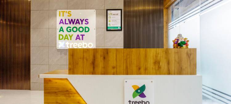 Treebo Aura Inn Regency图片