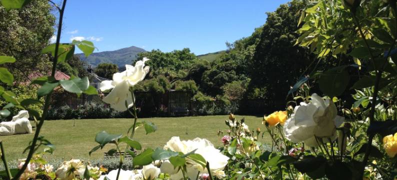 布里斯克里夫住宿加早餐旅馆(Blythcliffe)图片