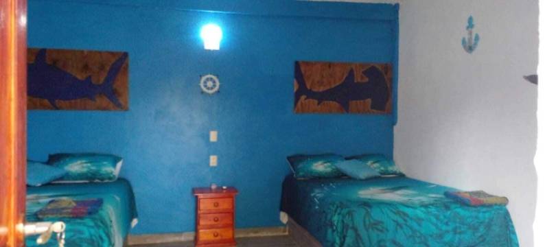 膳宿公寓(Hostal)图片