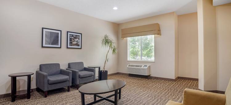 康科德米尔斯-舒眠酒店及套房(Sleep Inn & Suites at Concord Mills)图片