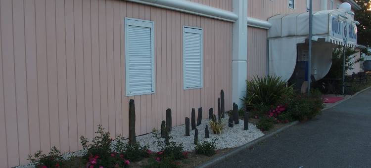 瓦讷快克宫殿酒店(Quick Palace Vannes)图片