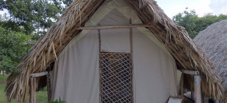 维瓦梅里达民宿(Casa Viva Mérida)图片