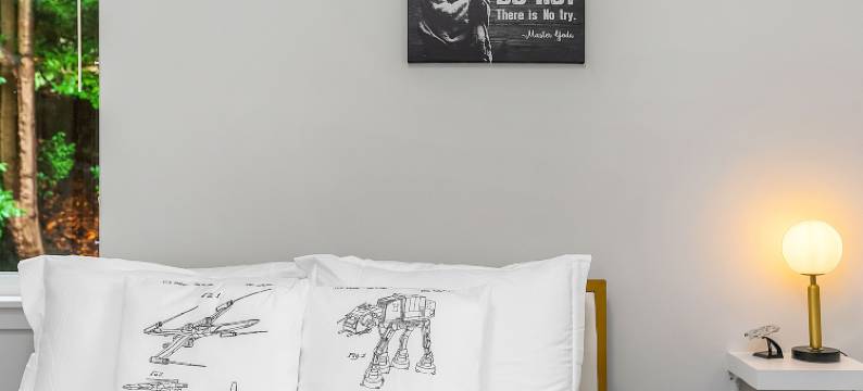 尤达的沼泽套房(Yoda's Swamp Suite)图片