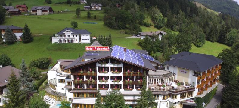 沃尔福尔菲尔森霍夫艮纳斯酒店(Wohlfühl & Genusshotel Felsenhof)图片