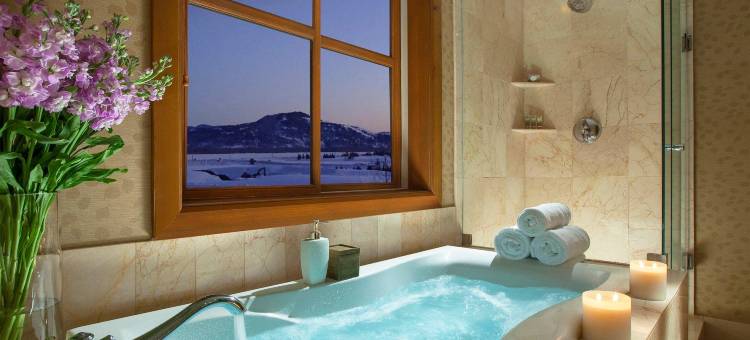 蛇河别墅温泉罗克度假酒店(Snake River Lodge & Spa)图片
