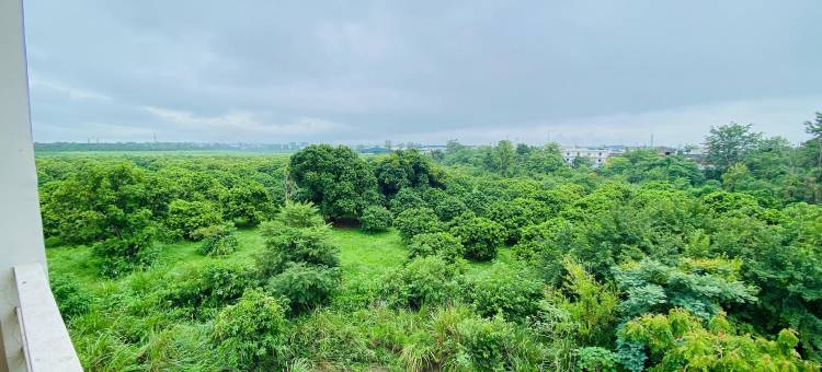 LivBox 鲁德拉普尔(LivBox)图片