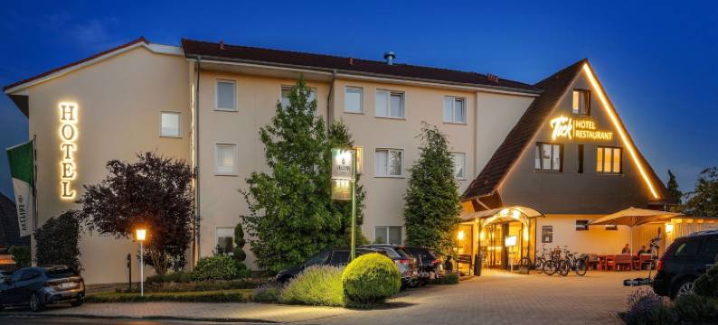 泰克高级酒店(Hotel Tiek Superior)图片