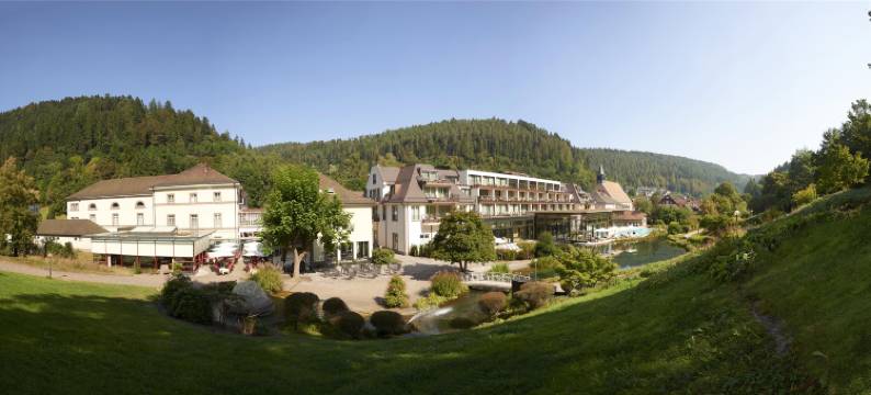 巴德温泉缇娜酒店(Hotel Therme Bad Teinach)图片