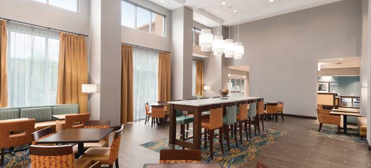 迪美欢朋套房酒店(Hampton Inn & Suites DeLand)图片