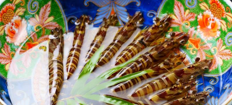 渚馆木村唐津茶屋(Nagisakan Kimura Karatsu Chaya)图片